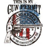 2nd Amendment Gun Permit
